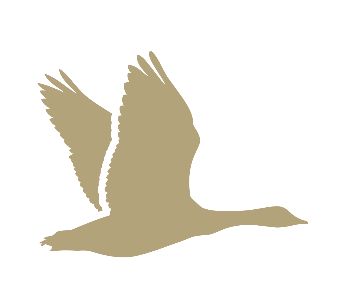 goose icon for goose gap reserve